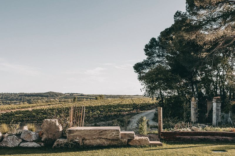 Domaine la Grande Canague - Vignobles